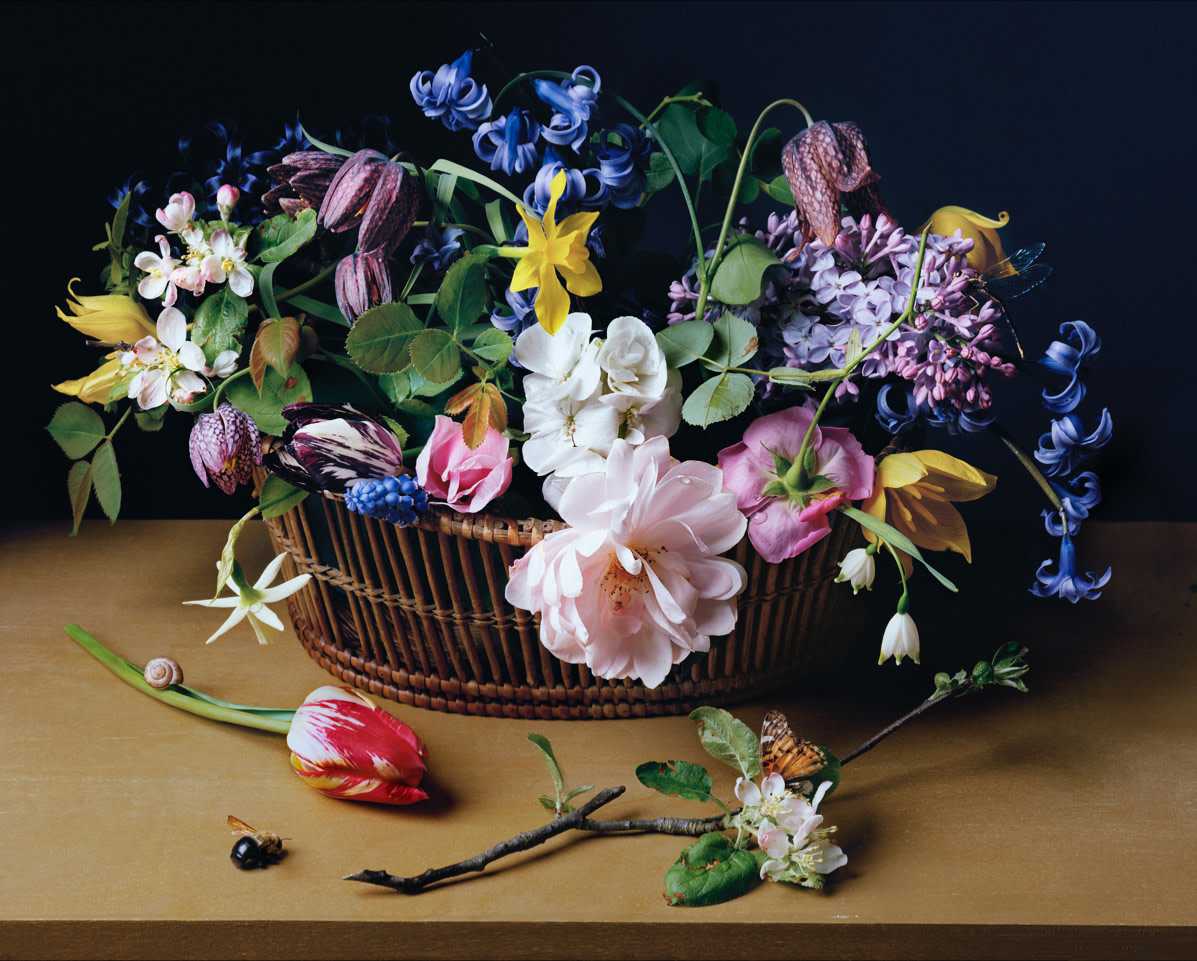 Photograph by Sharon Core titled 1614 from the series 1606-1907 of a floral still life arranged in the style of a classical painting