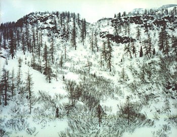 Jim Cooke - Re- Placing Arcadia - Exhibitions - Yancey