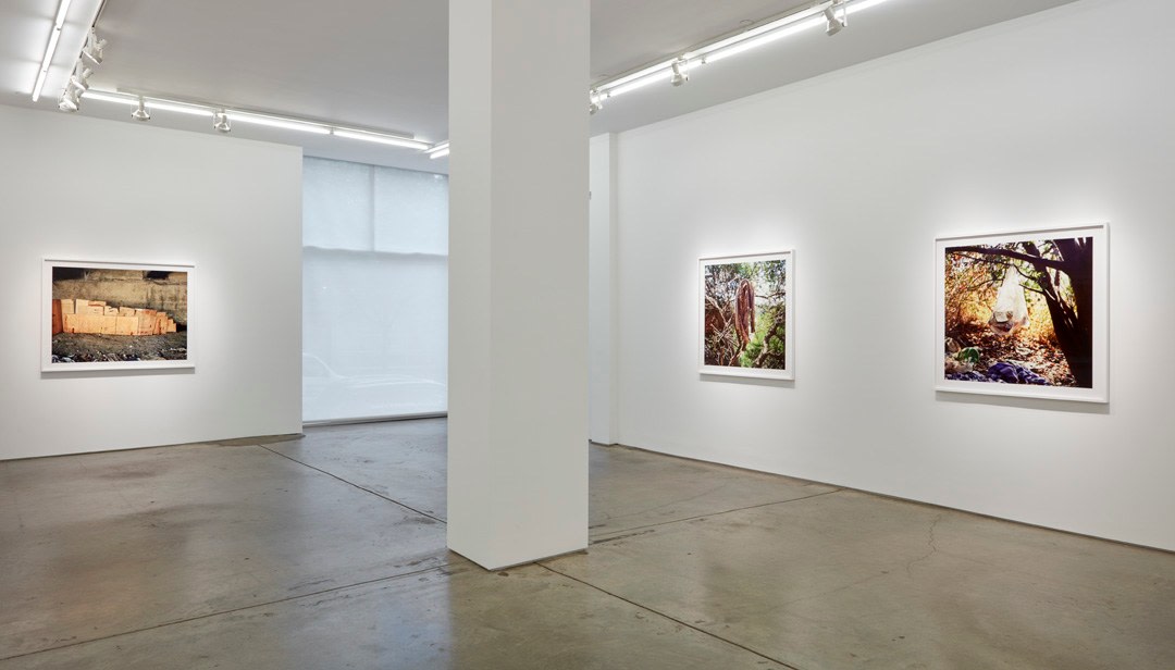 Anthony Hernandez, installation view.