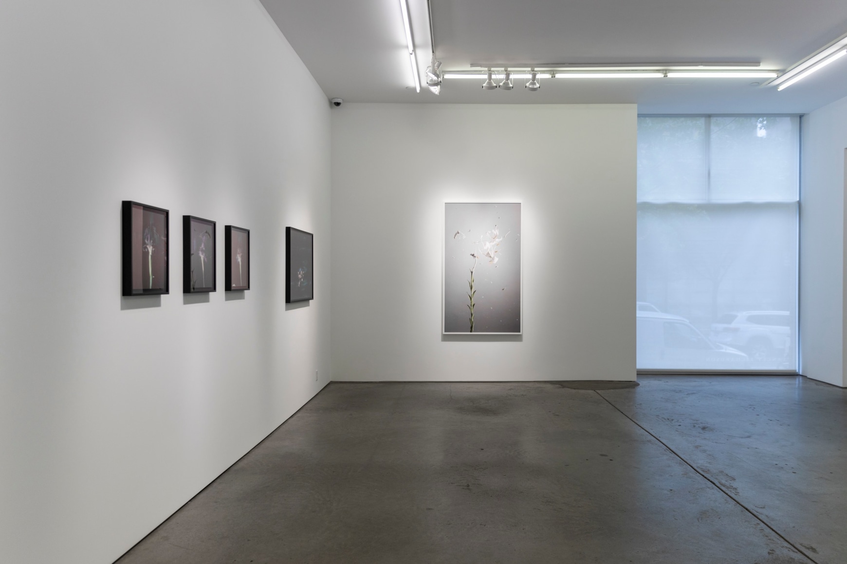 Installation image of&nbsp;Fragile Land​.