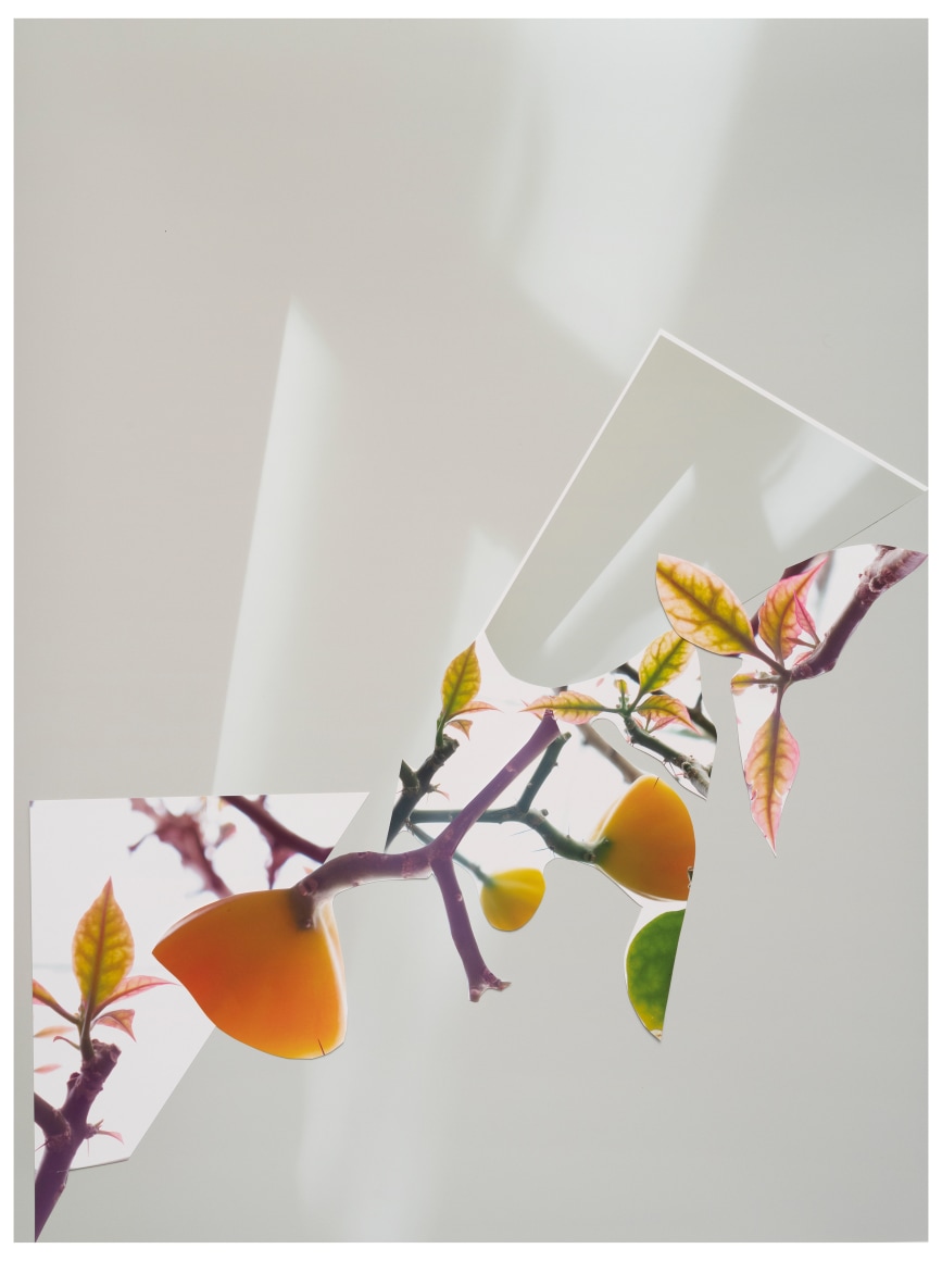 BE20_357,&nbsp;2020.&nbsp;Unique collaged archival pigment print, 30 1/2 x 23 inches.