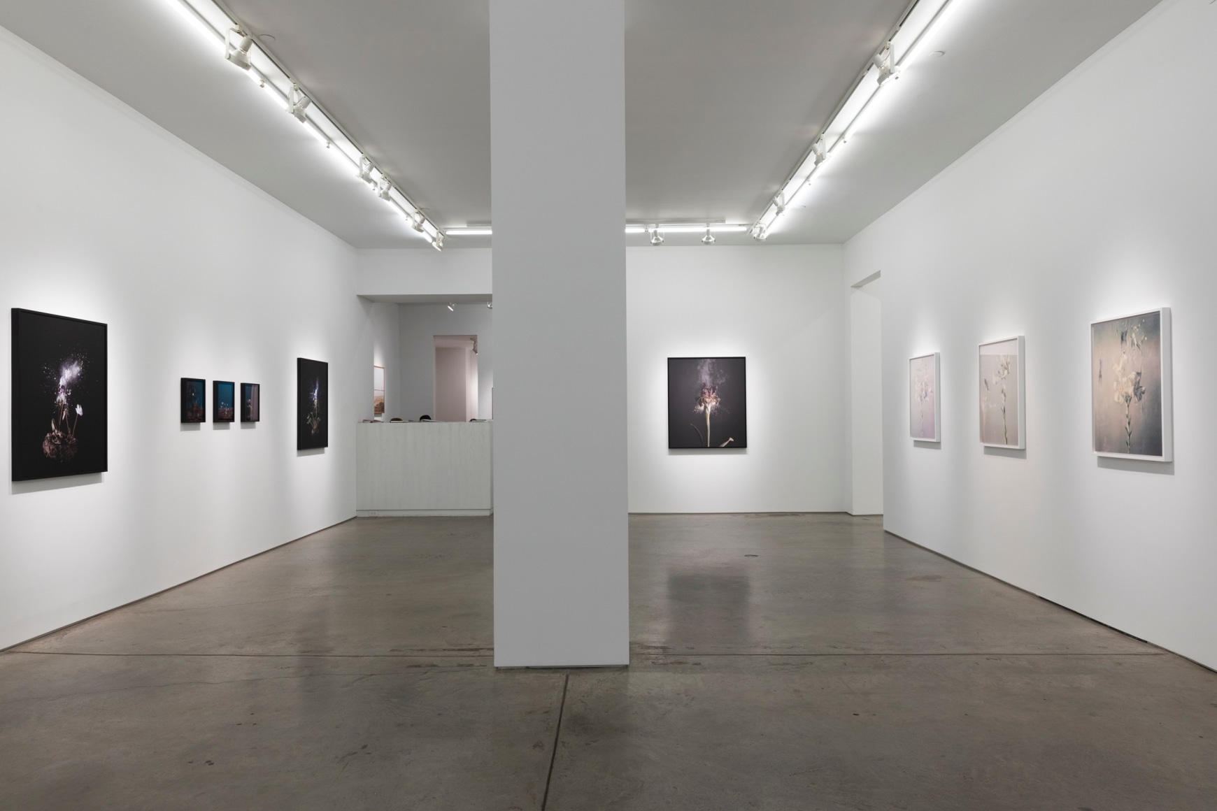 Installation image of&nbsp;Fragile Land​.