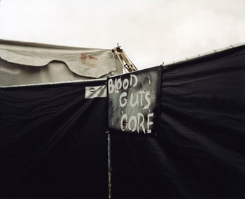 Blood, Guts, Gore, 2006, Chromogenic Print, available in 20 x 24, 30 x 40, and 40 x 50 inches, editions of 5.