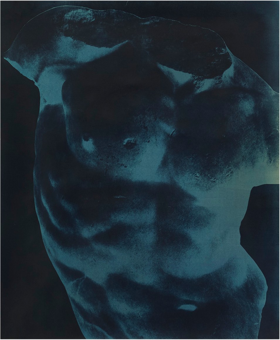 David Alekhuogie, Cyanotype (blue on blue), 2017. Cyanotype, 40 1/8 x 32 1/2 inches.