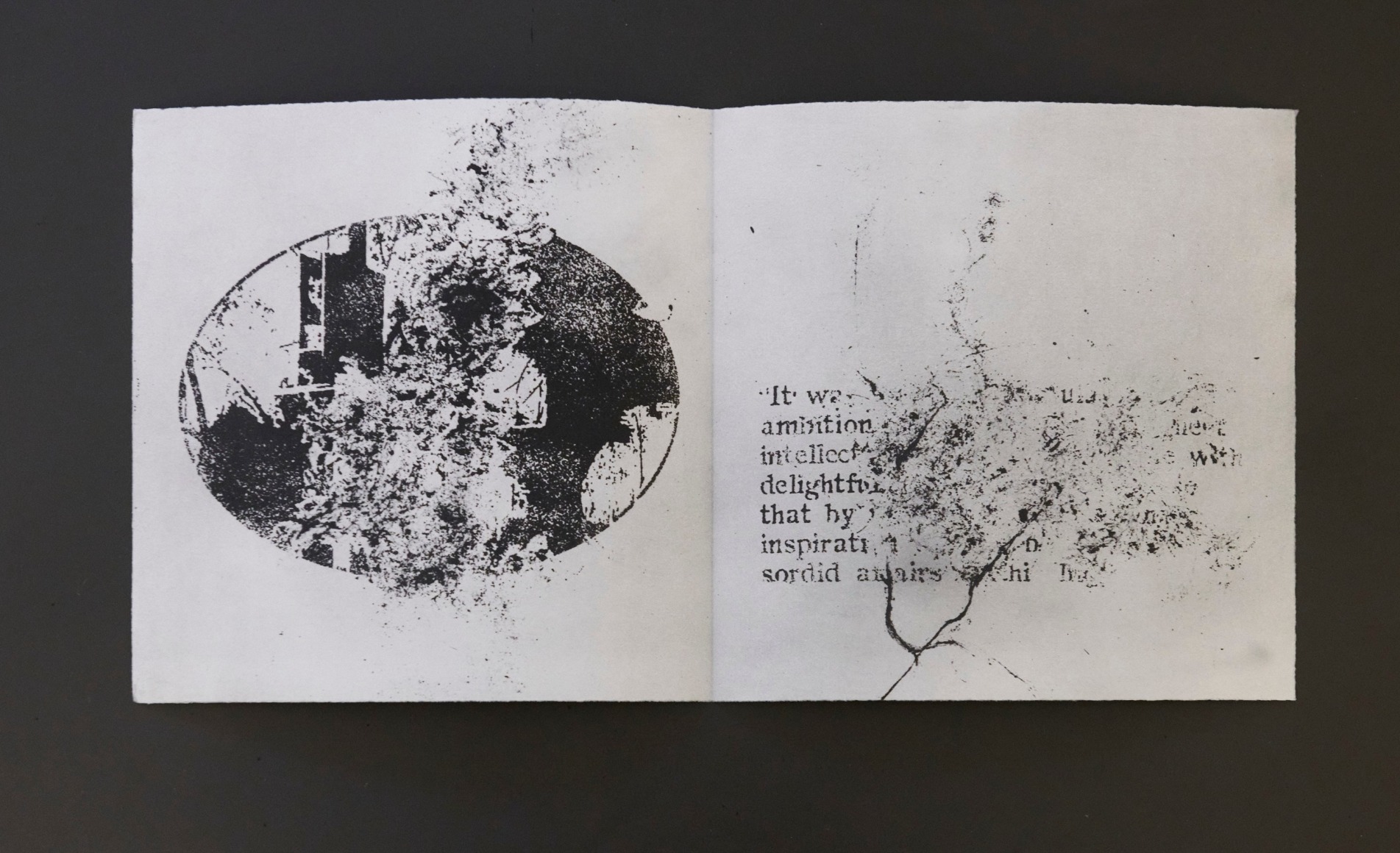 Detail of Norma Trist: a Livre d'Artiste; or Pure Carbon: A Story of the Inversion of the Sexes (with text by John Carhart), 2020