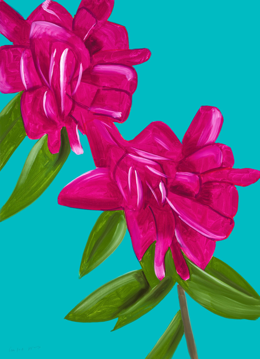 Alex Katz Peonies (from Flowers Portfolio), 2021 hand signed and numbered by the artist archival pigment inks on Innova etching cotton rag 315 gsm paper: 47 x 34 inches Edition 25 of 100