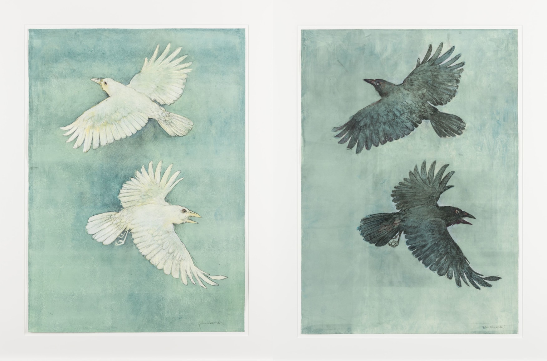 John Alexander Albino Crows and Crows in a Fog, 2012 pair of monotypes from steel and aluminum plates with hand-coloring framed: 43.5 x 33 inches each Inquire