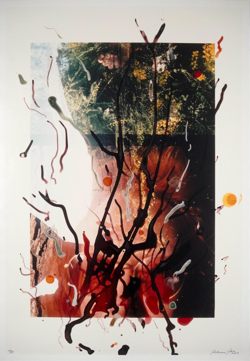 Rebecca Horn Untitled, 2001 c-print of hand painted photograph 39 3/8 x 27 7/8 inches Edition 7 of 15