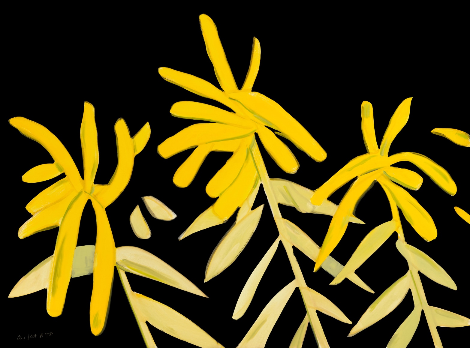 Alex Katz Goldenrod (from Flowers Portfolio), 2021 archival pigment inks on Innova etching cotton rag 315 gsm paper: 35 x 47 inches frame: 38 3/4 x 50 7/8 inches Edition 26 of 100
