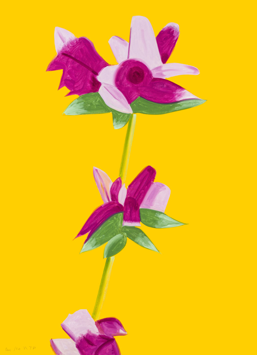 Alex Katz Azaleas on Yellow (from Flowers Portfolio), 2021 archival pigment inks on Innova etching cotton rag 315 gsm paper: 47 x 34 inches frame: 51 x 38 inches Edition 26 of 100