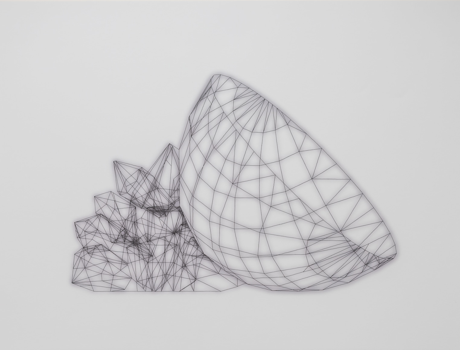 Sharon Engelstein,  Bowlful, 2018,  ink on inkjet print,  30 x 40 inches