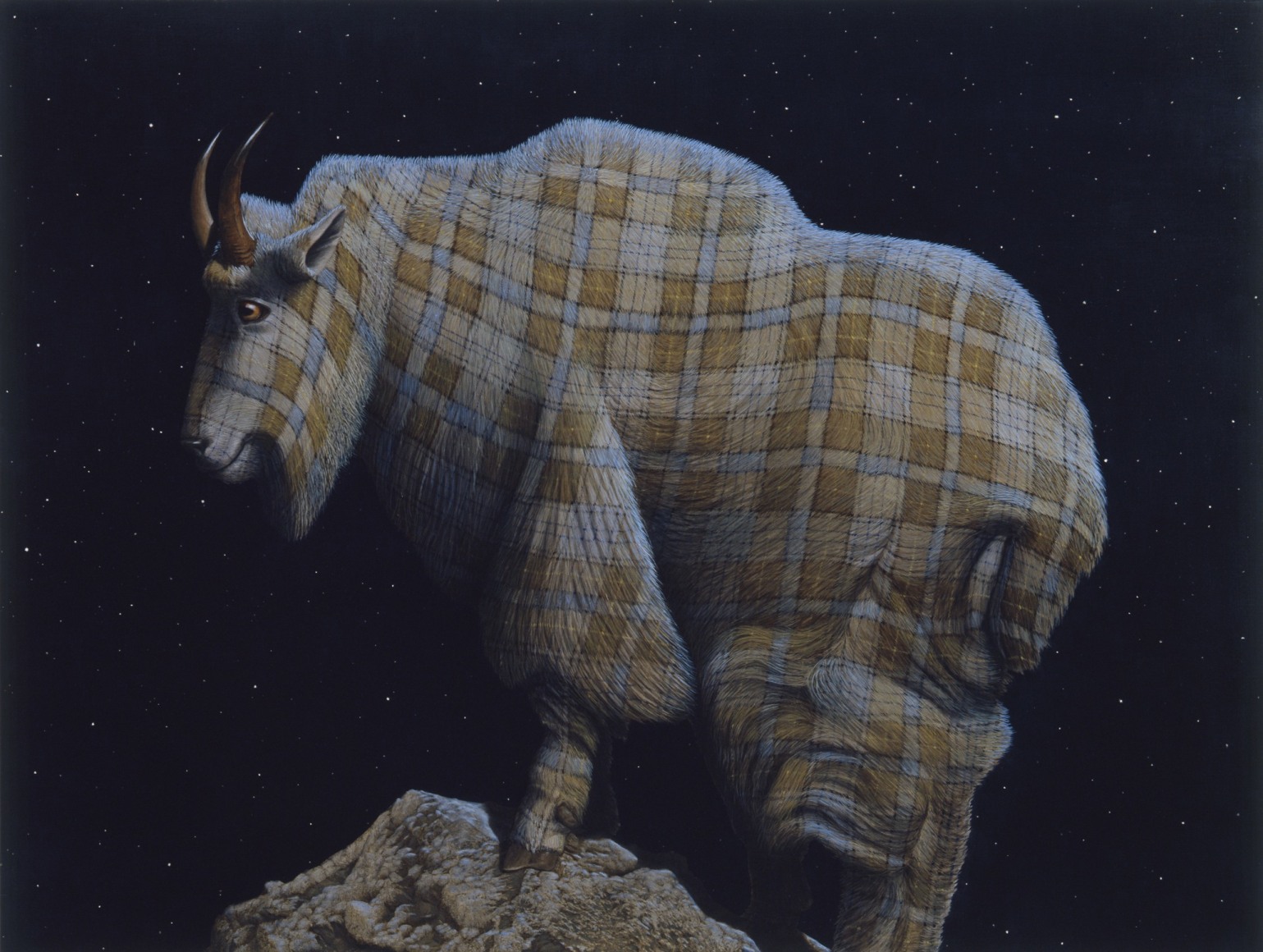 An Argument for Solipsism (Mountain Goat)