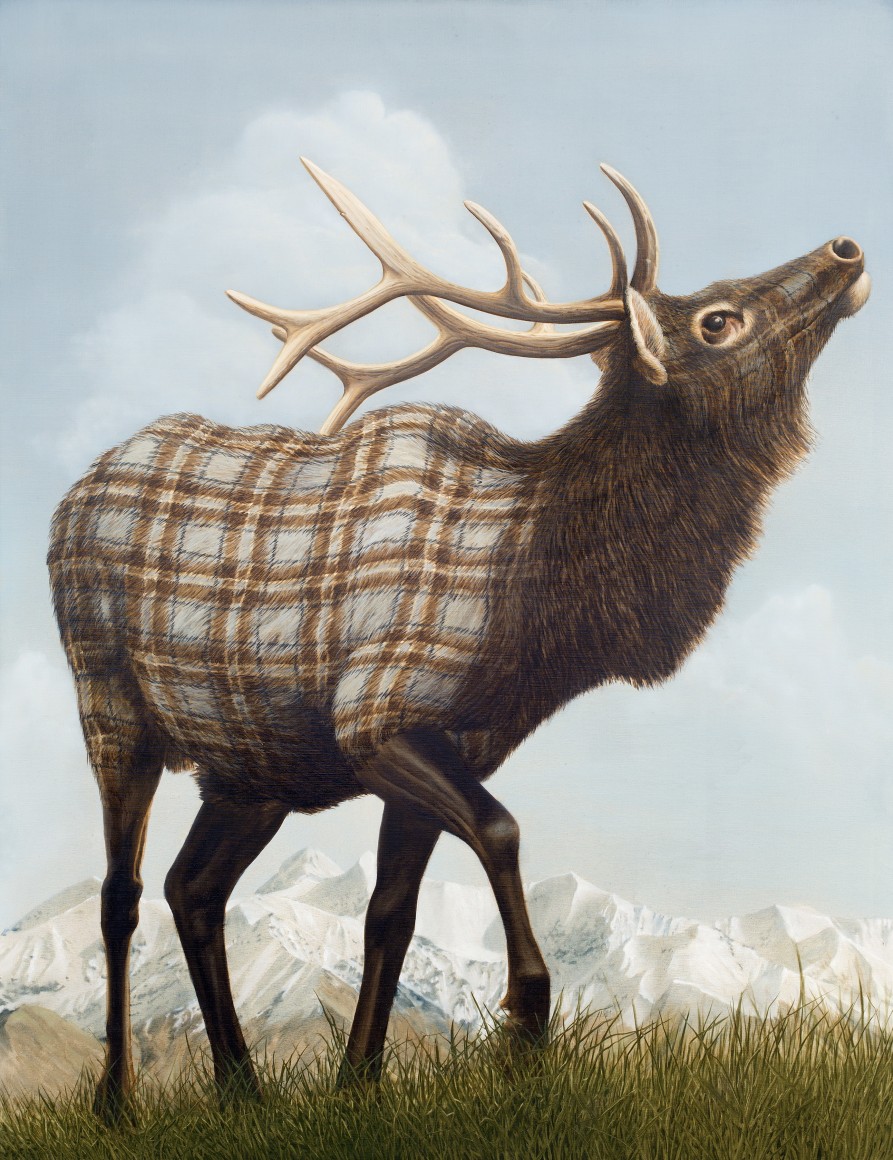 Elk