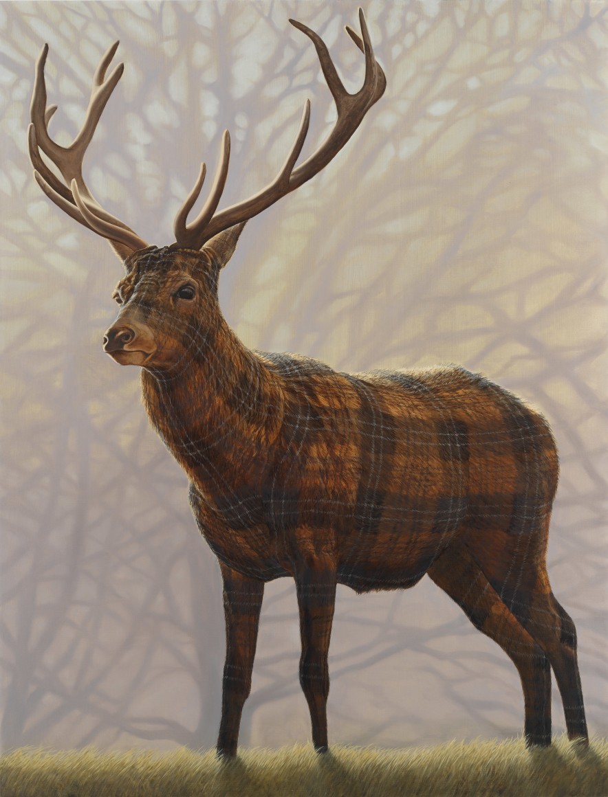 Red Deer