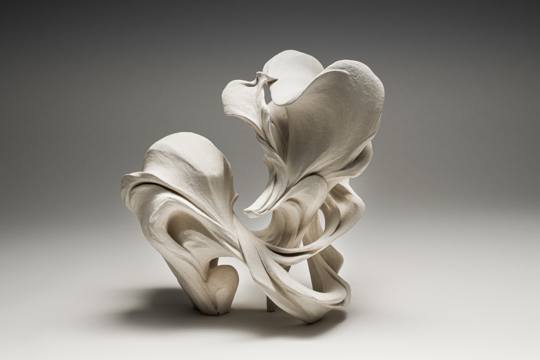 Fujikasa Satoko featured in Orientations