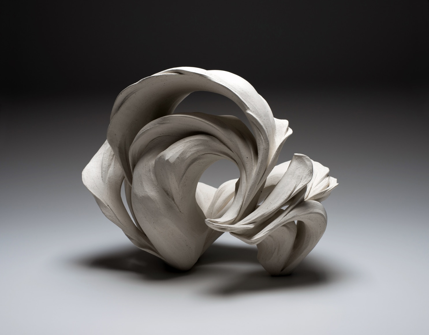 Gathering Winds, 2019