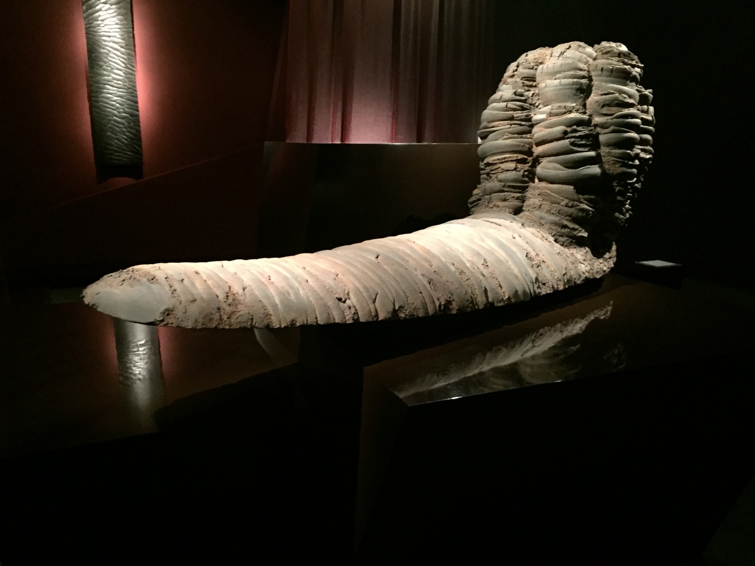 Yo AKIYAMA: Towards the Sea of Arche