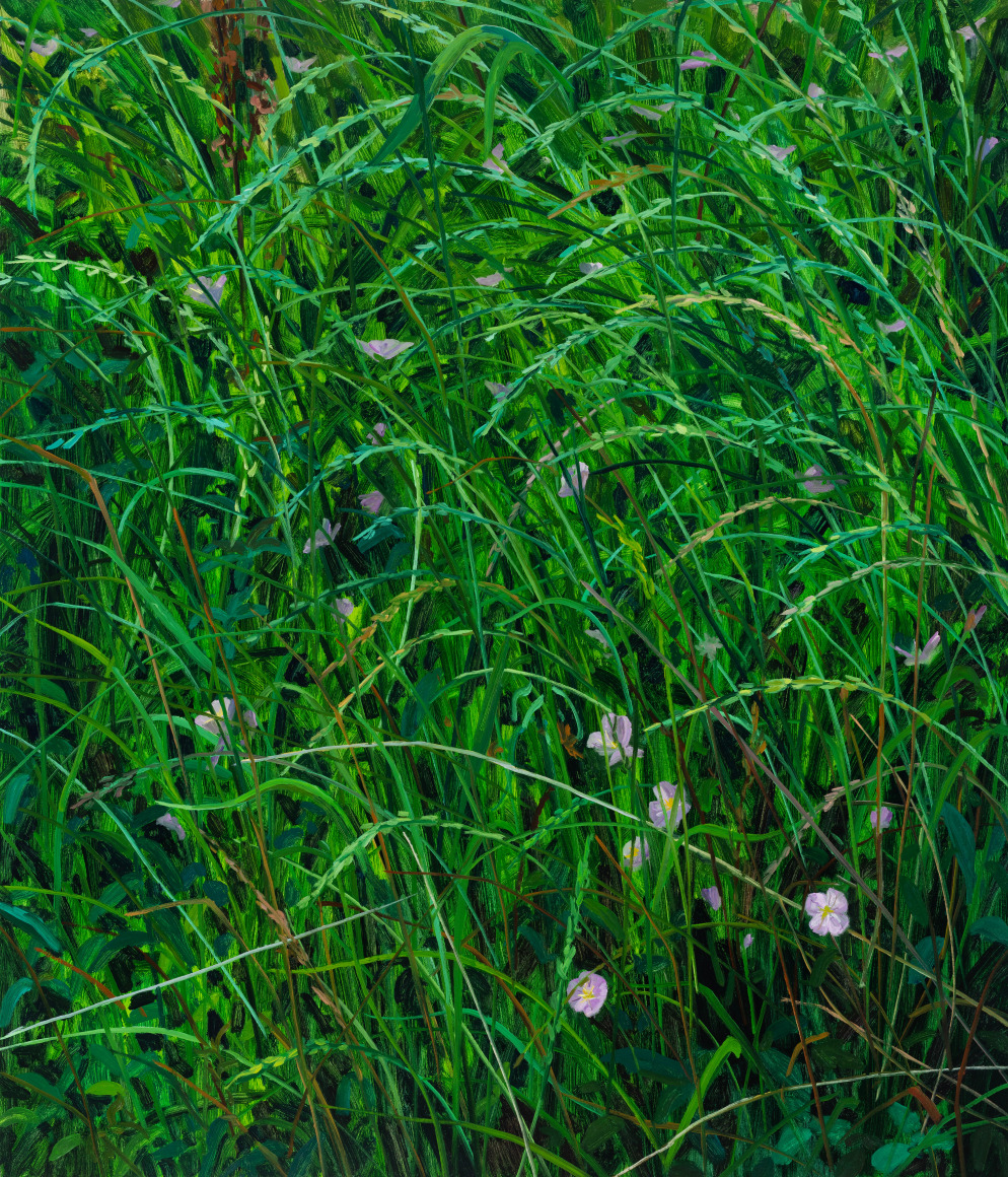 Wildflowers, 2024 Oil on canvas 42 x 36 inches