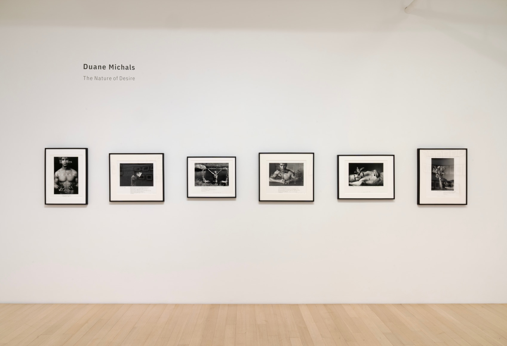 Installation view of Duane Michals: The Nature of Desire
