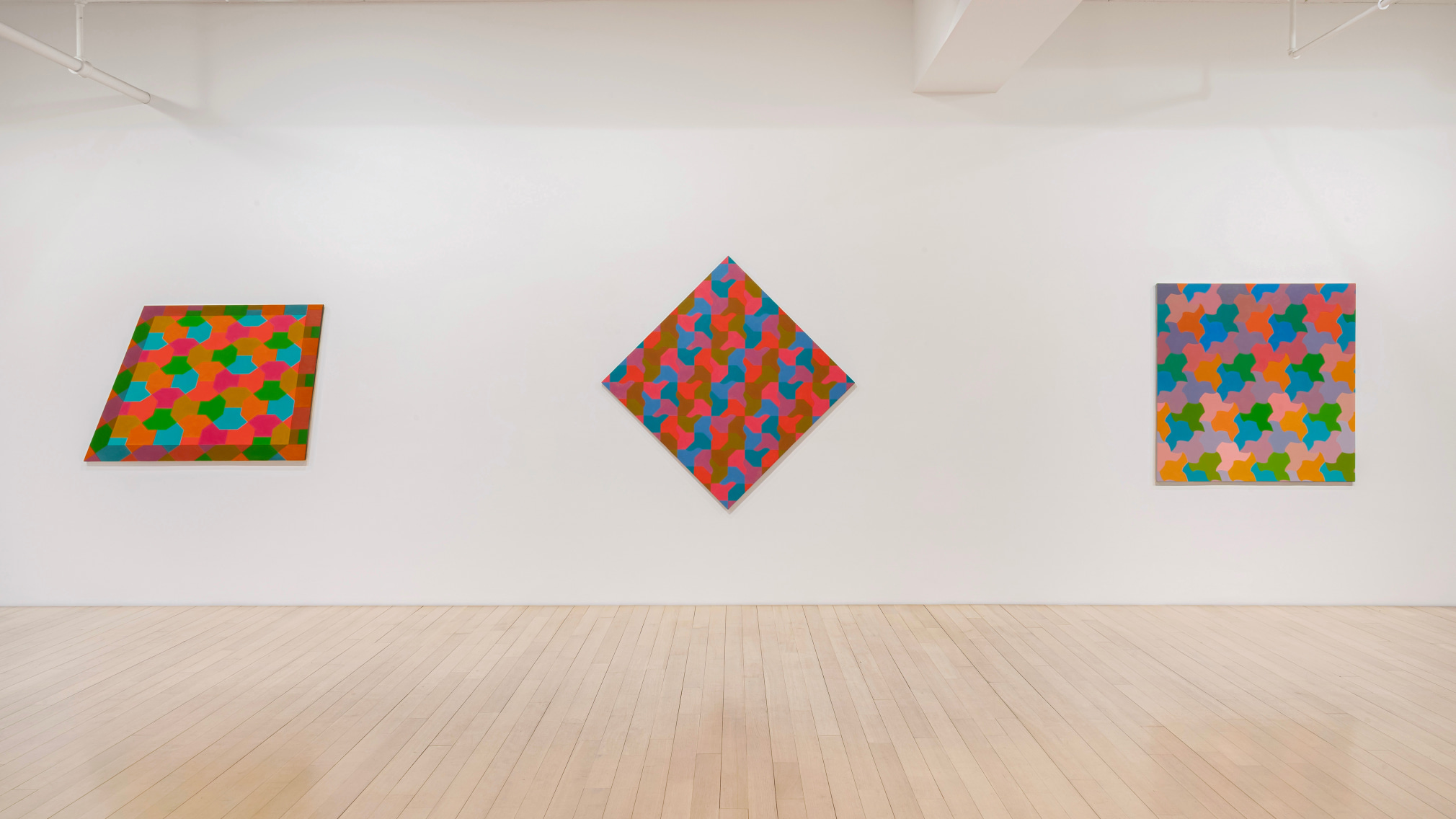 Installation view of &quot;George Woodman: A Democracy of Parts&quot;