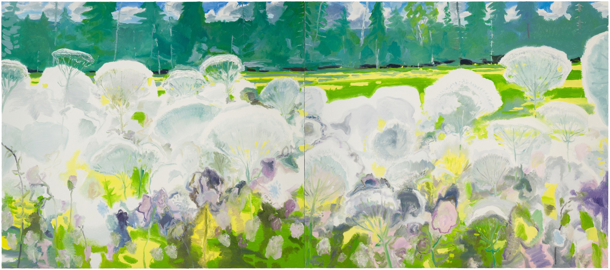 Queen Anne's Lace, 2023 Oil on linen 60 x 138 inches