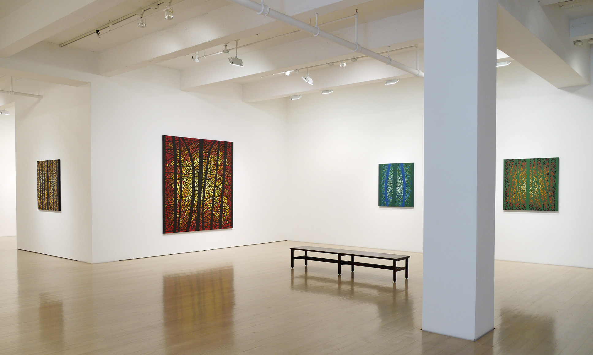 Katia Santiba&ntilde;ez: Lumens Anima