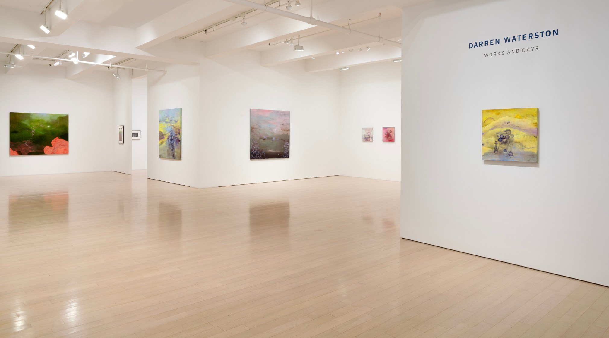 Installation view of Darren Waterston: Works and Days