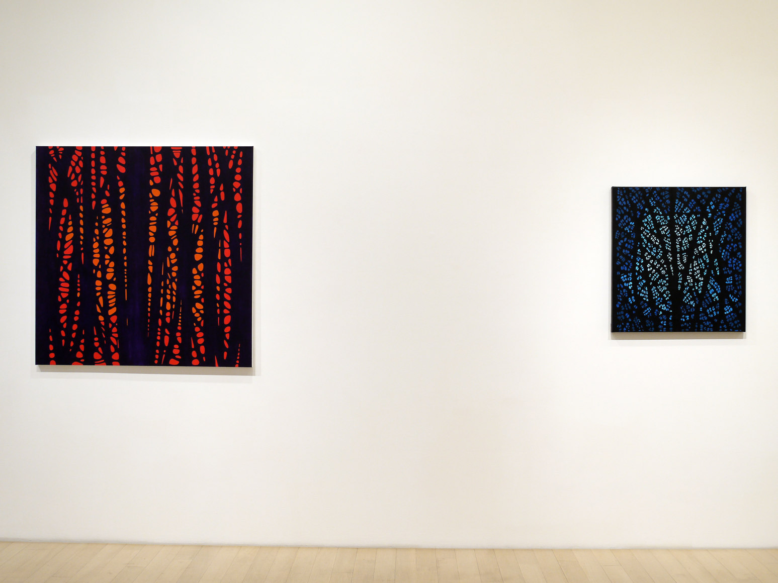 Katia Santiba&ntilde;ez: Lumens Anima