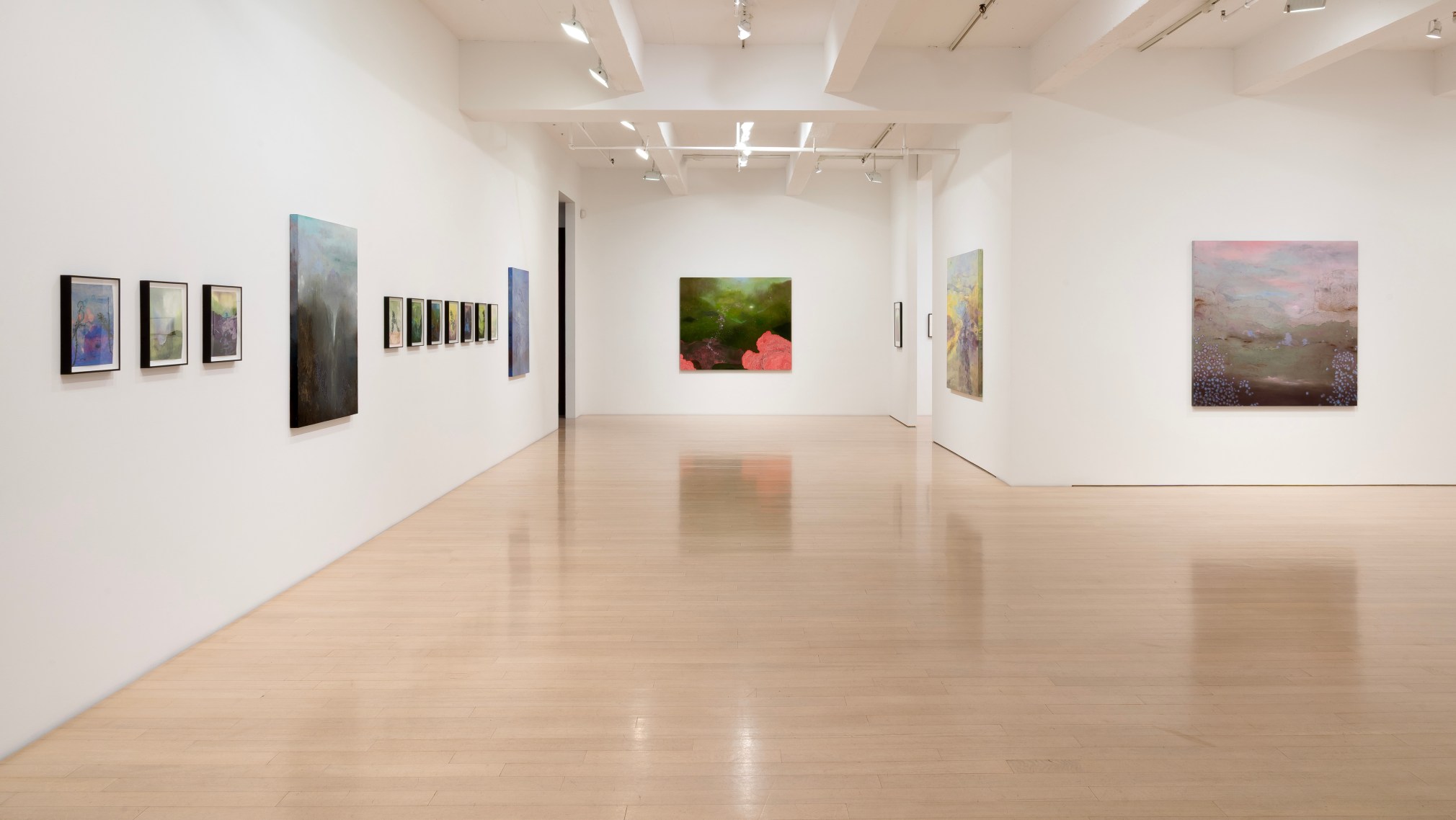 Installation view of Darren Waterston: Works and Days