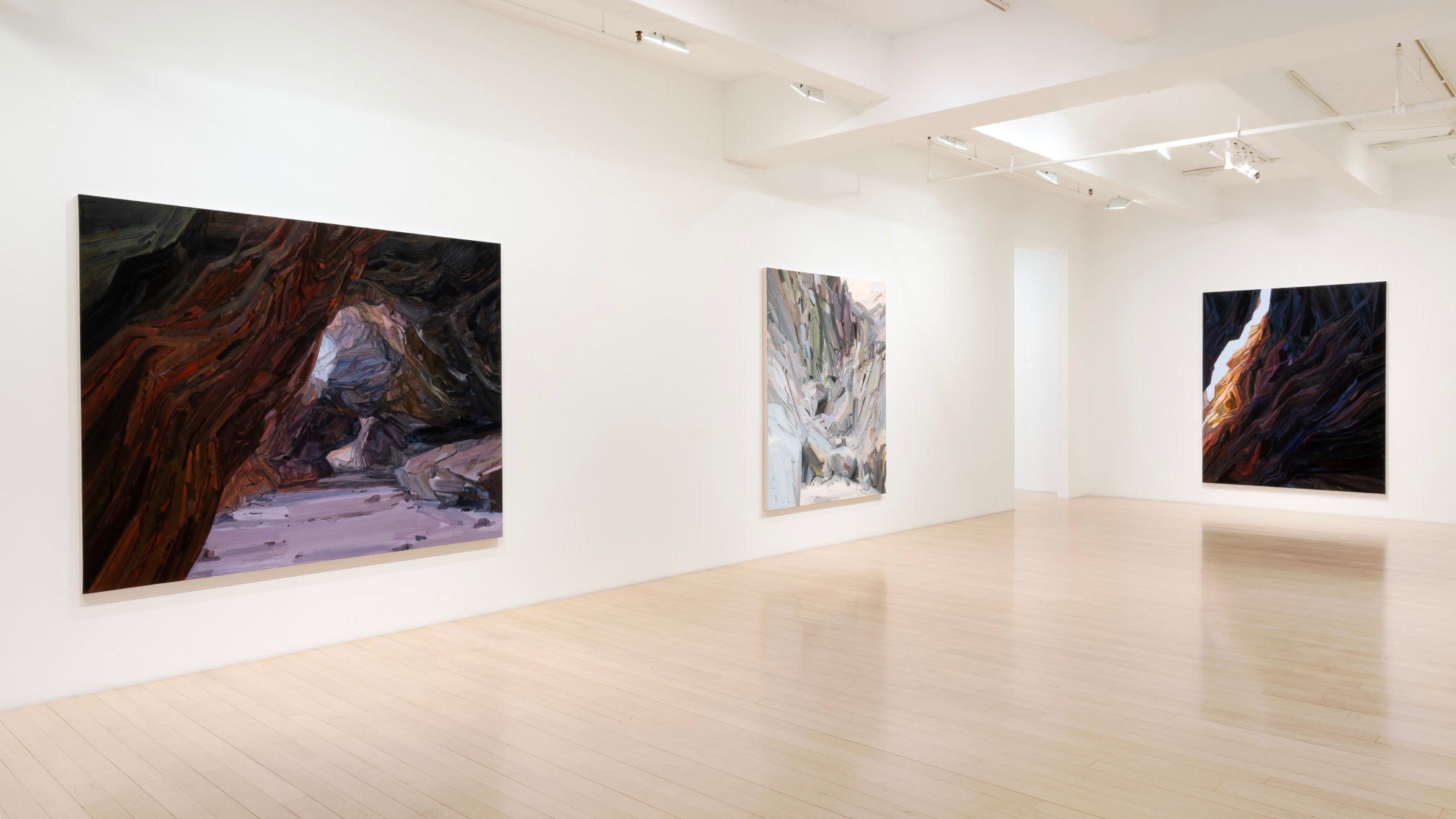 Installation view of Claire Sherman: Petrichor