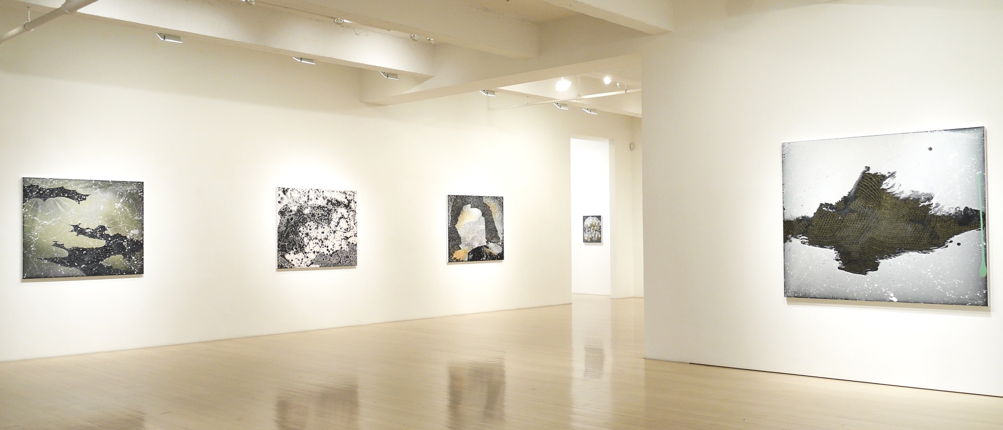 Barbara Takenaga: Outset