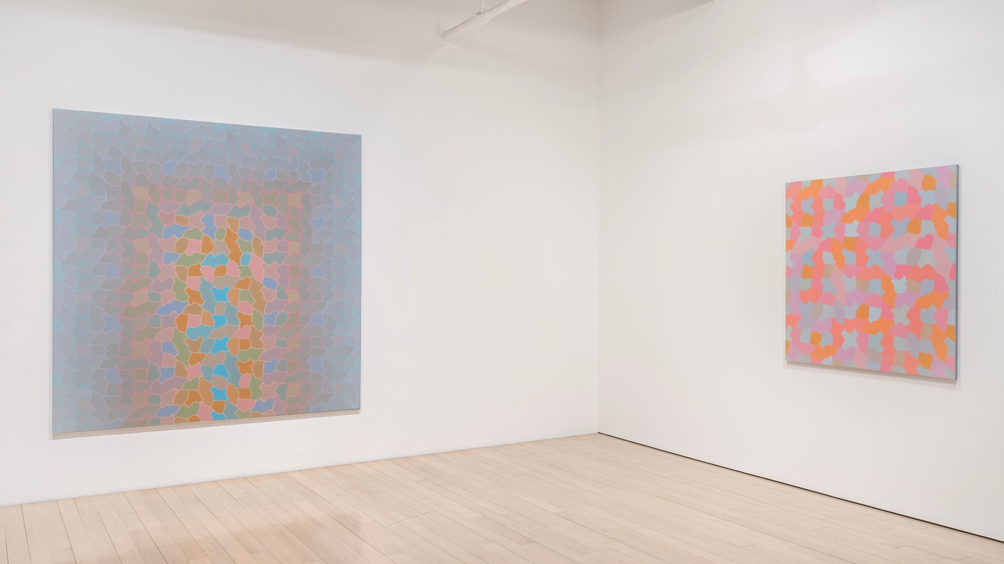 Installation view of &quot;George Woodman: A Democracy of Parts&quot;