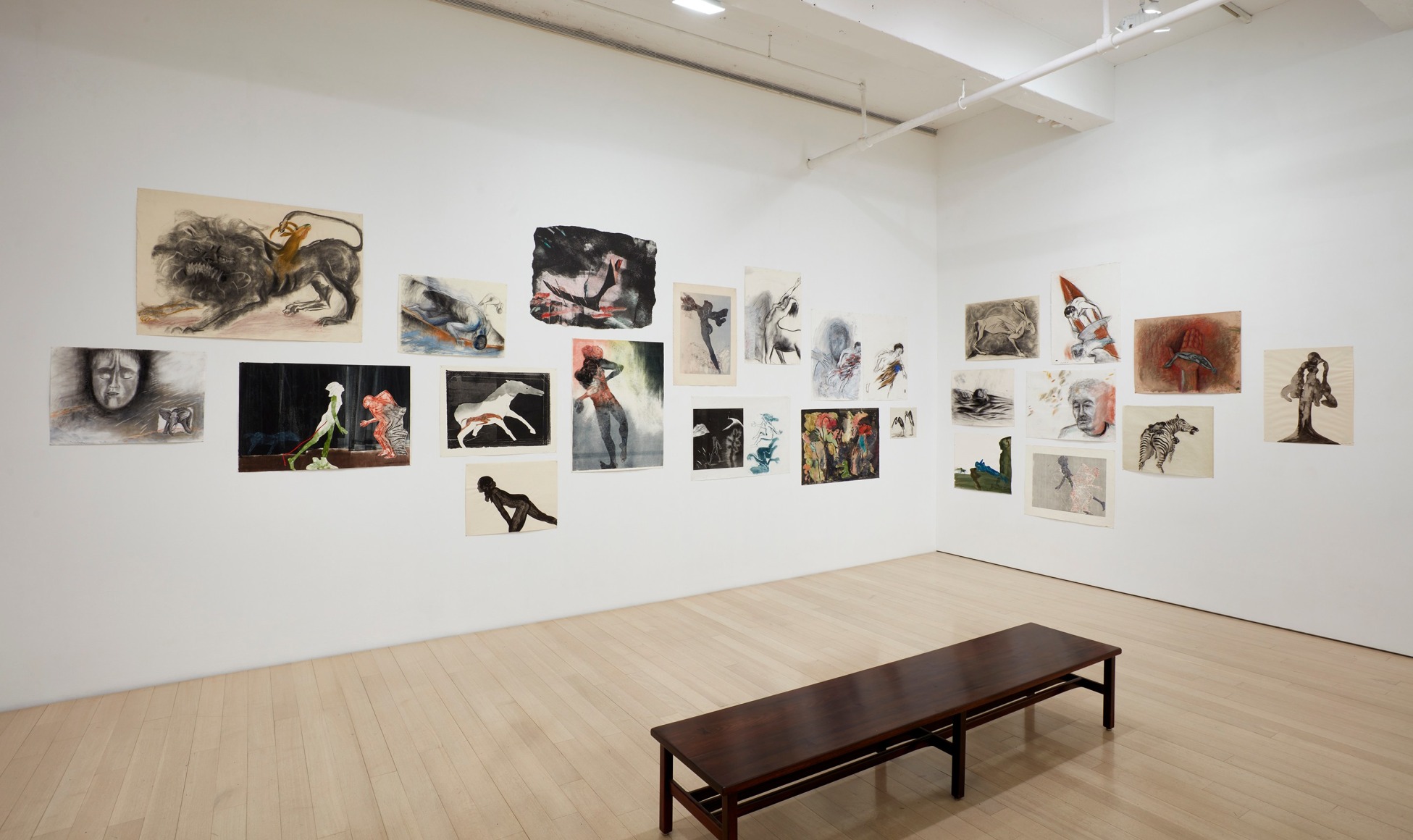 Installation view of Mary Frank: What Color Courage?