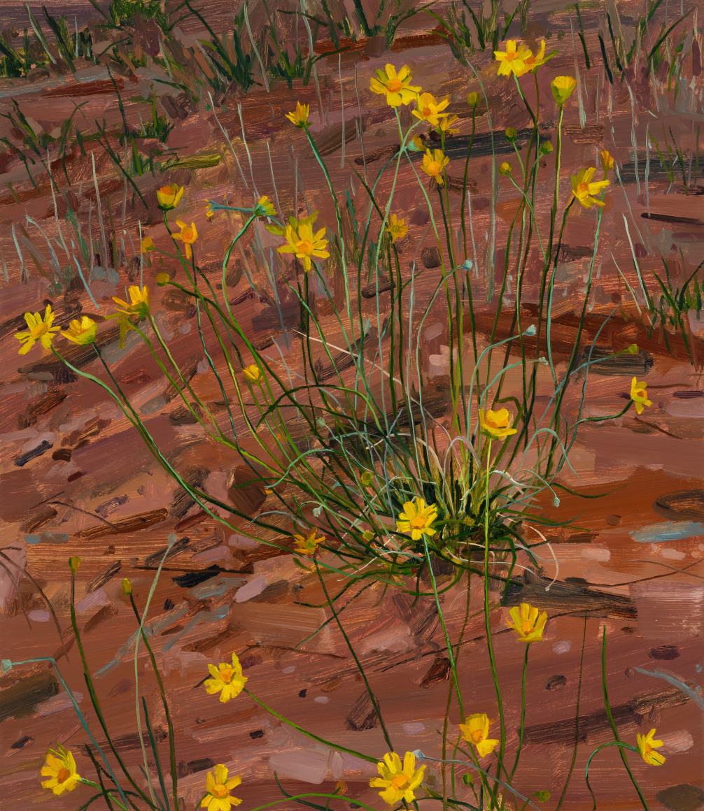 Wildflowers, 2024 Oil on canvas 30 x 26 inches