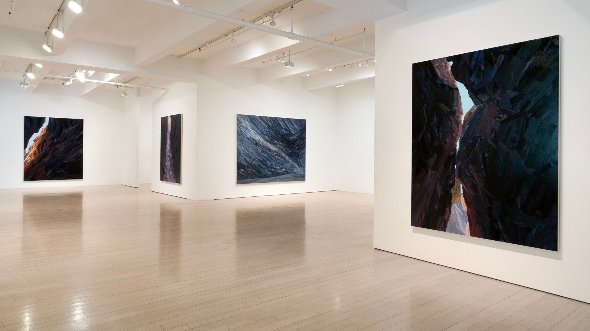 Installation view of Claire Sherman: Petrichor