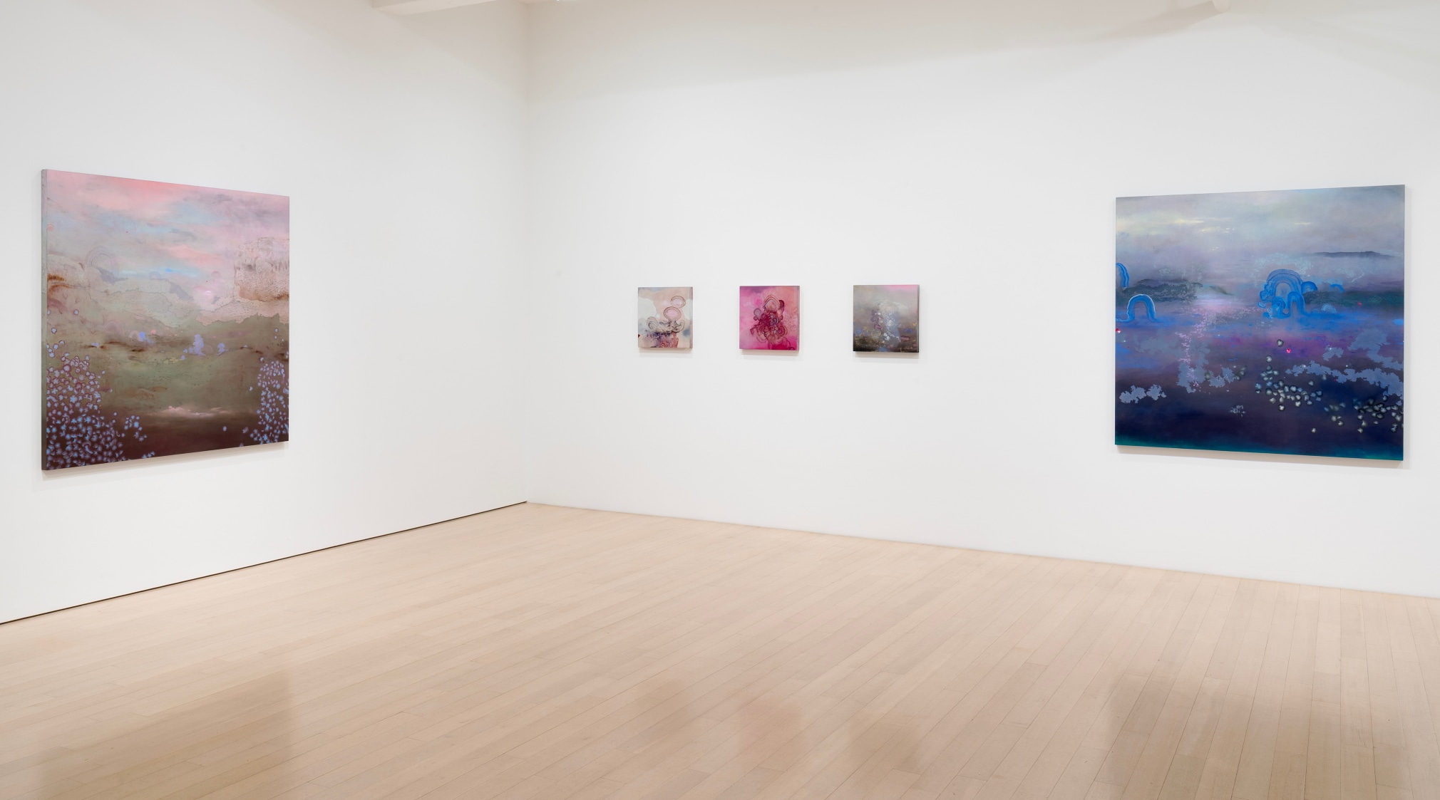 Installation view of Darren Waterston: Works and Days