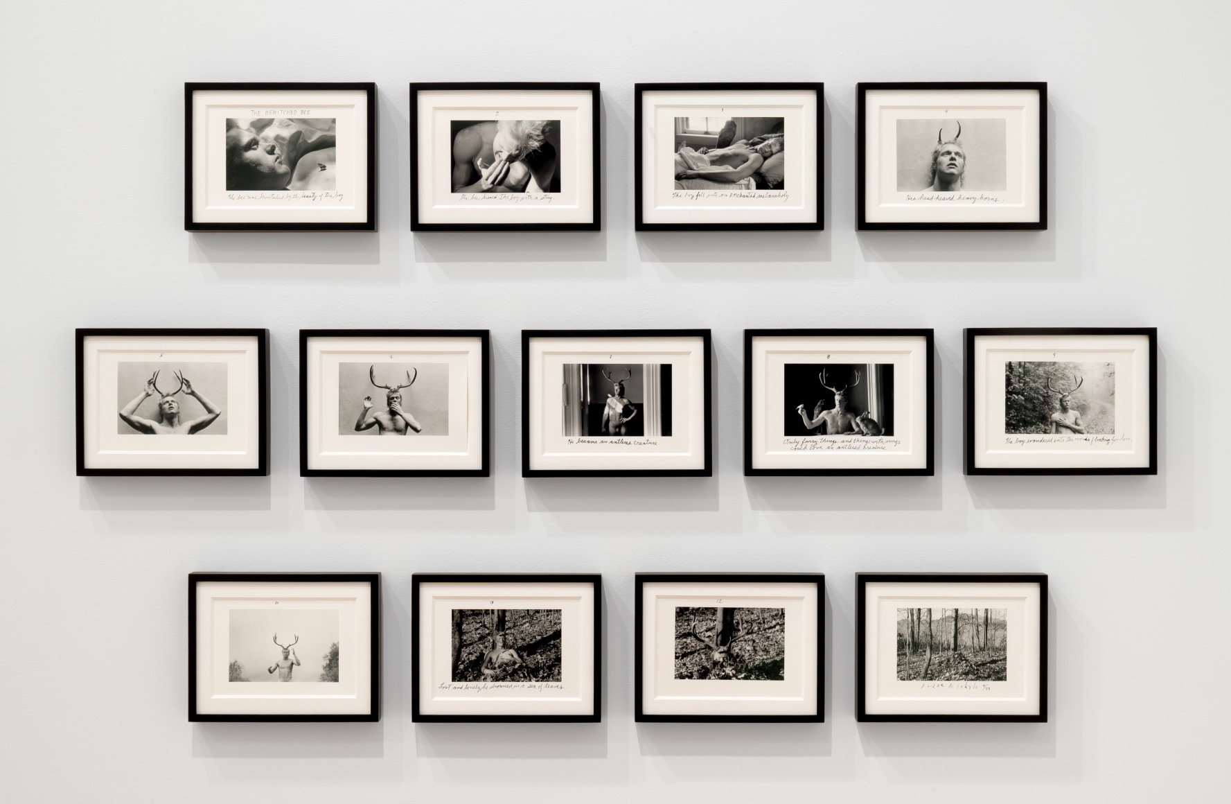 Installation view of Duane Michals: The Nature of Desire