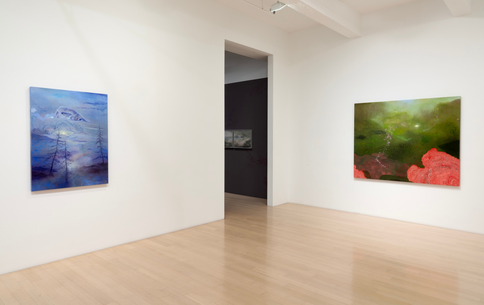 Installation view of Darren Waterston: Works and Days
