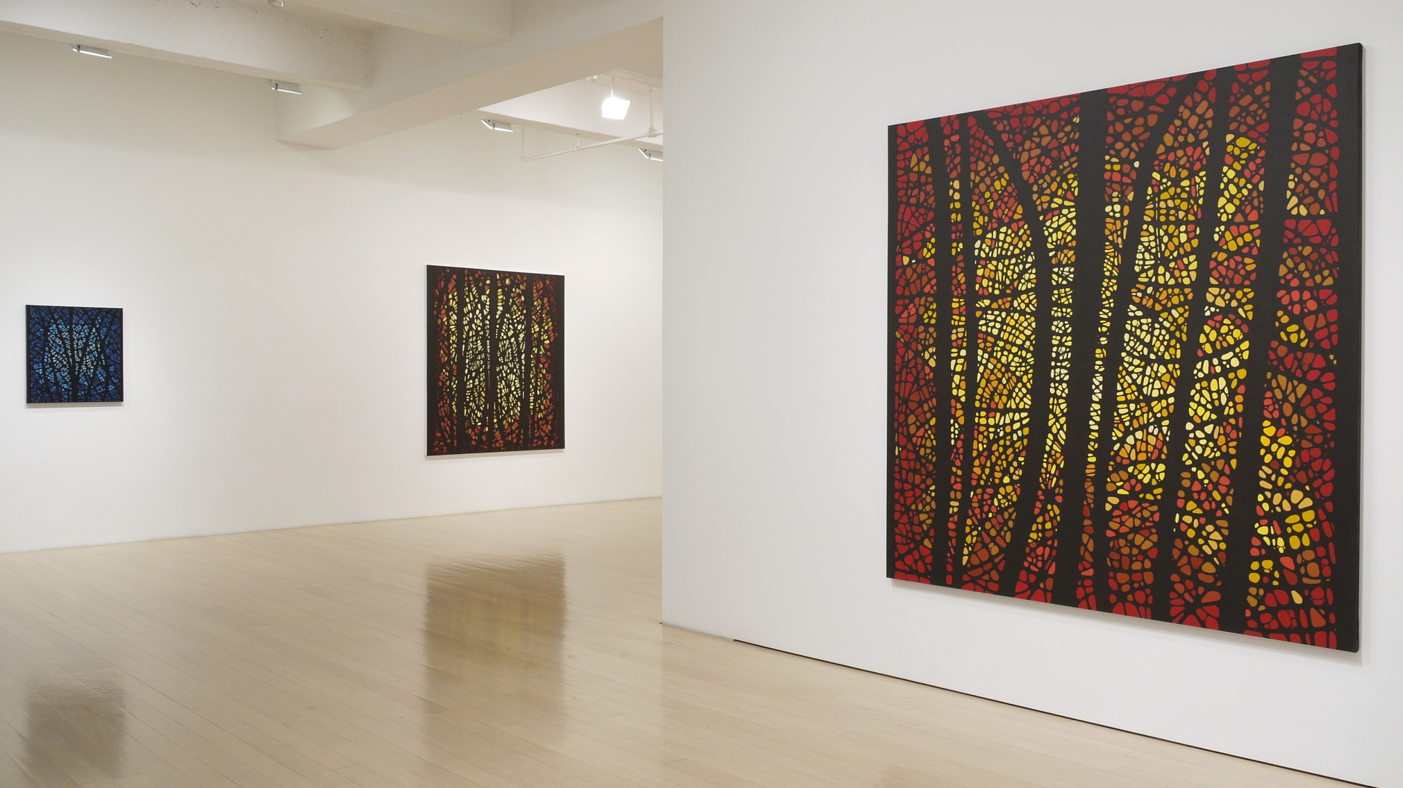 Katia Santiba&ntilde;ez: Lumens Anima