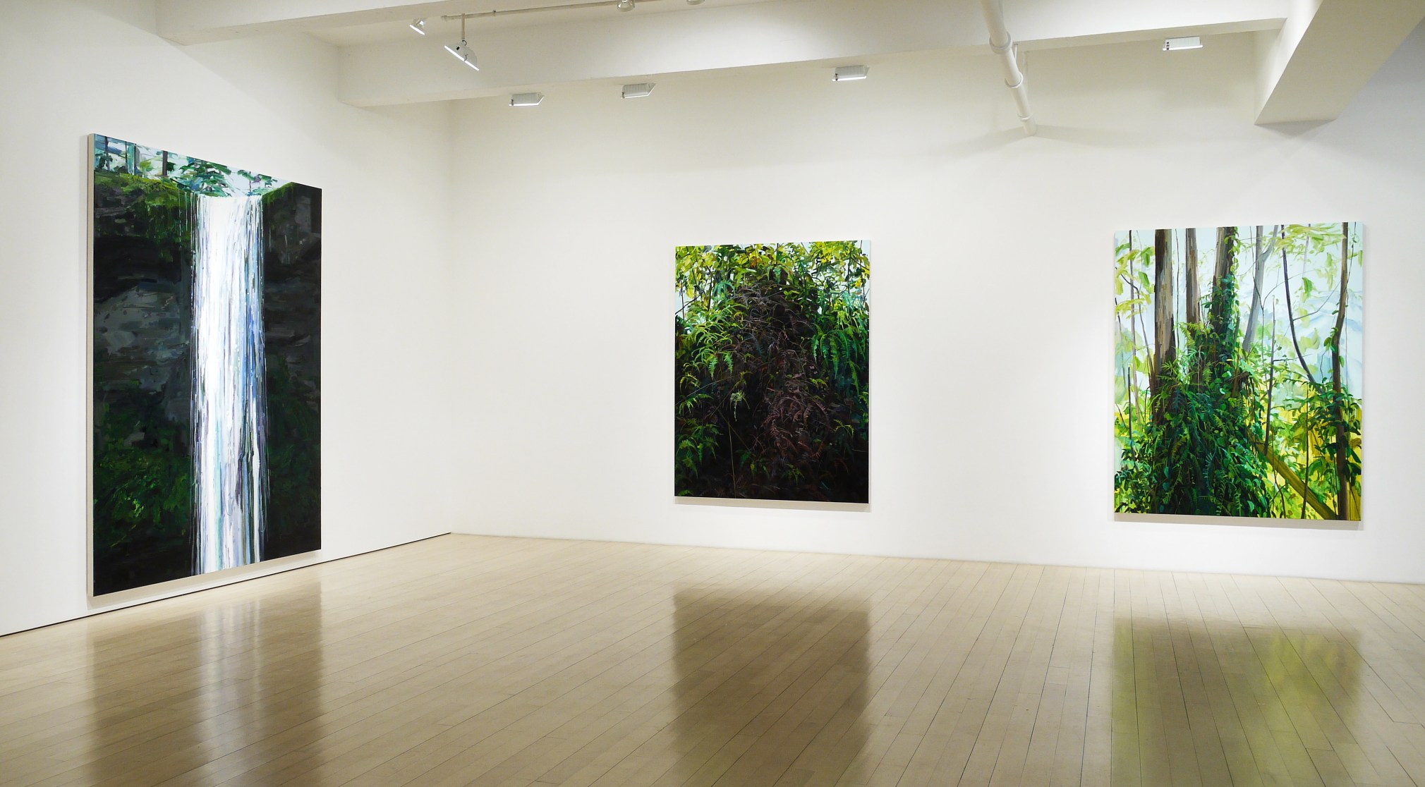 Claire Sherman: New Pangaea