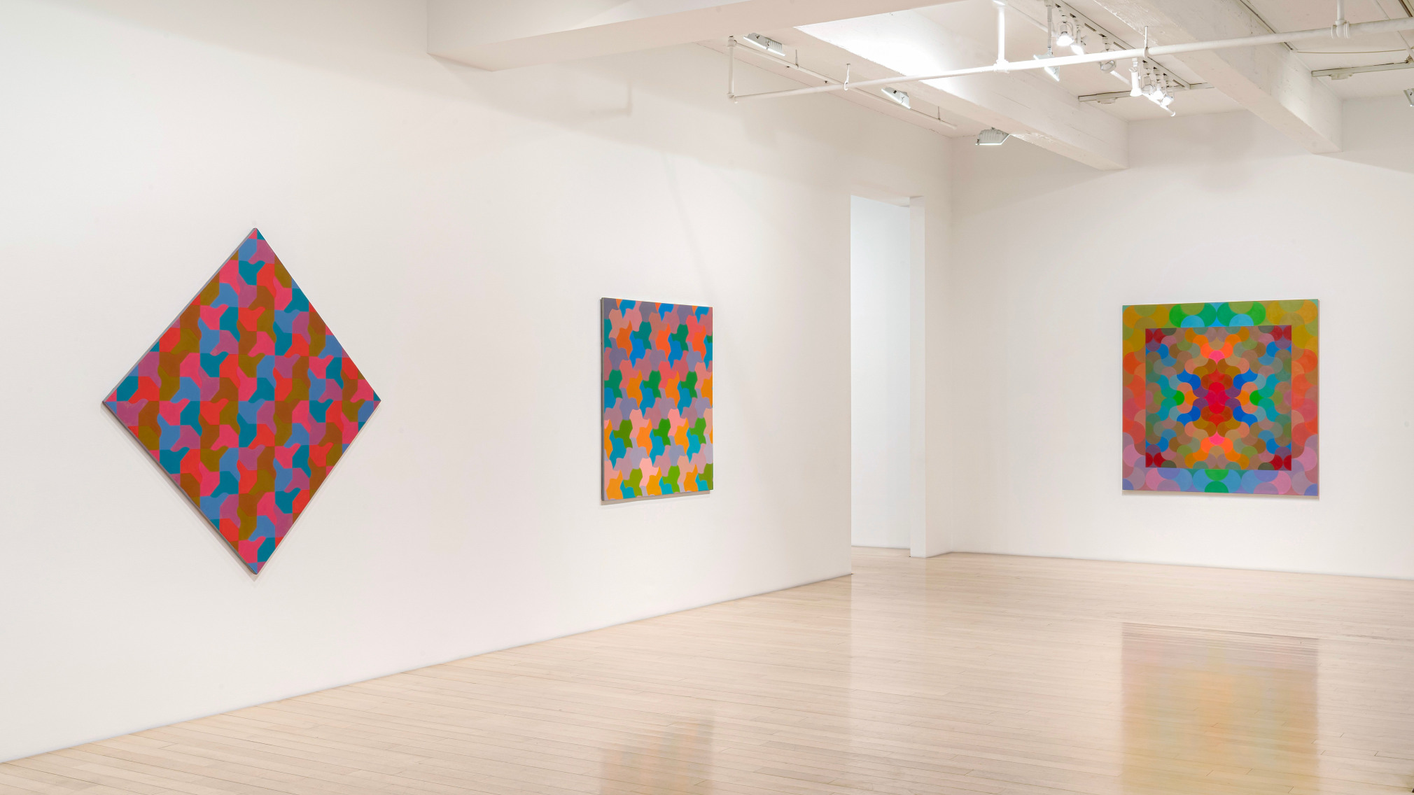 Installation view of &quot;George Woodman: A Democracy of Parts&quot;