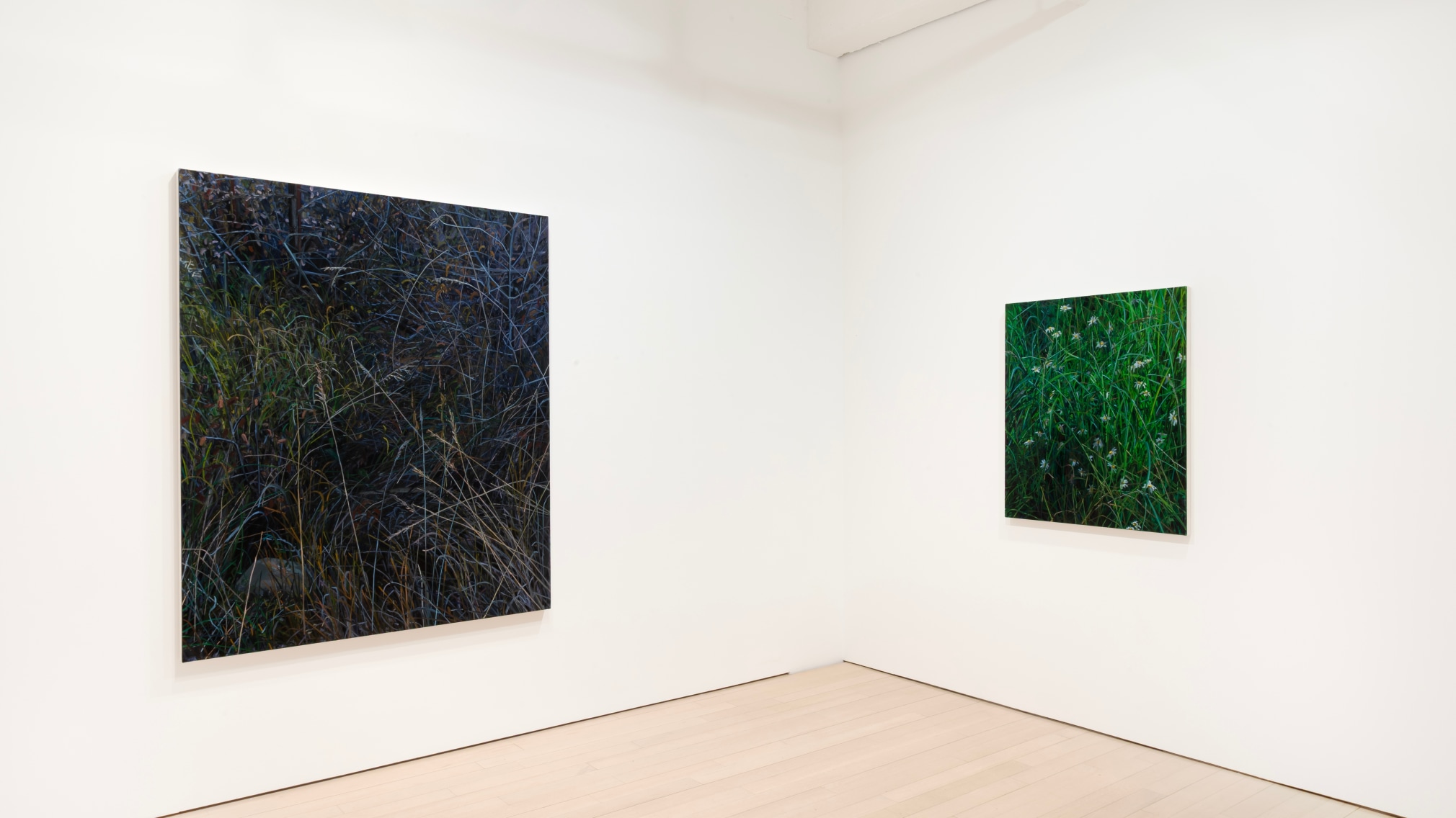 Installation view of Claire Sherman: Petrichor