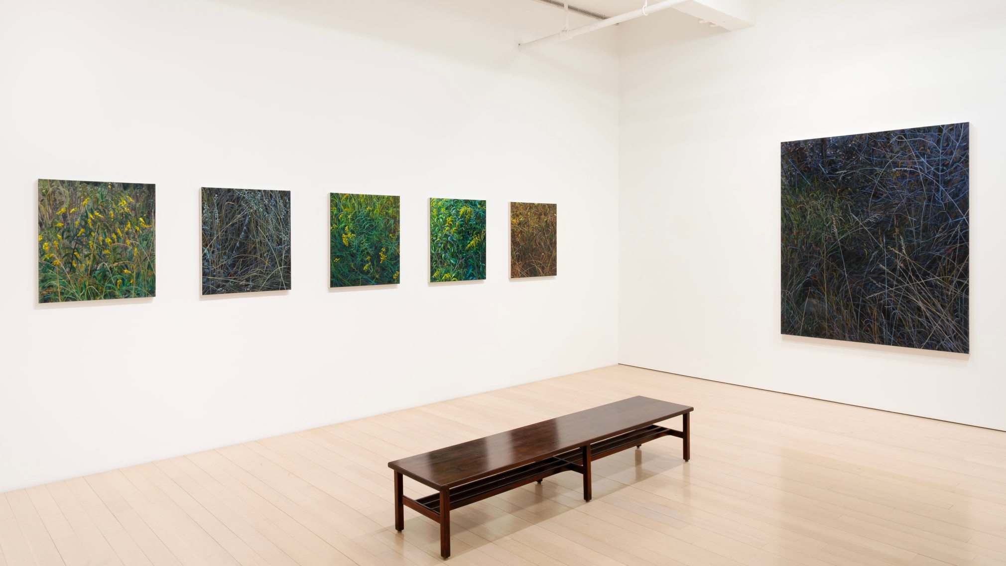Installation view of Claire Sherman: Petrichor