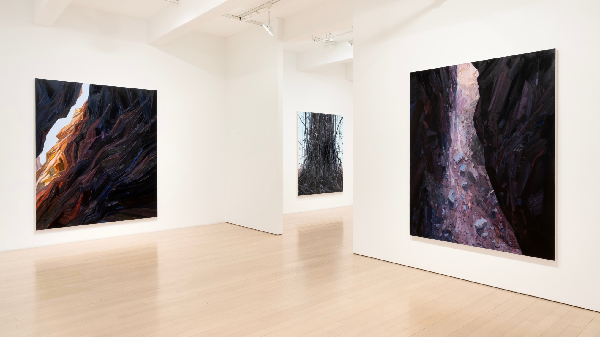 Installation view of Claire Sherman: Petrichor