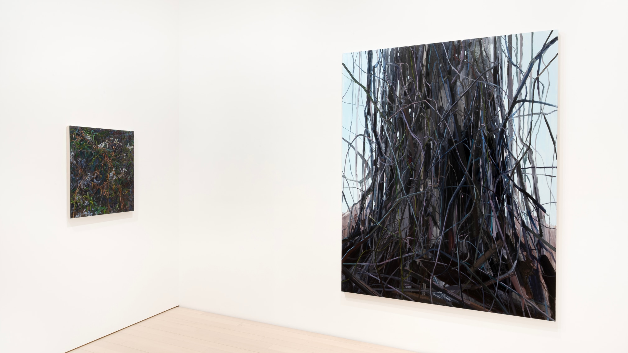 Installation view of Claire Sherman: Petrichor