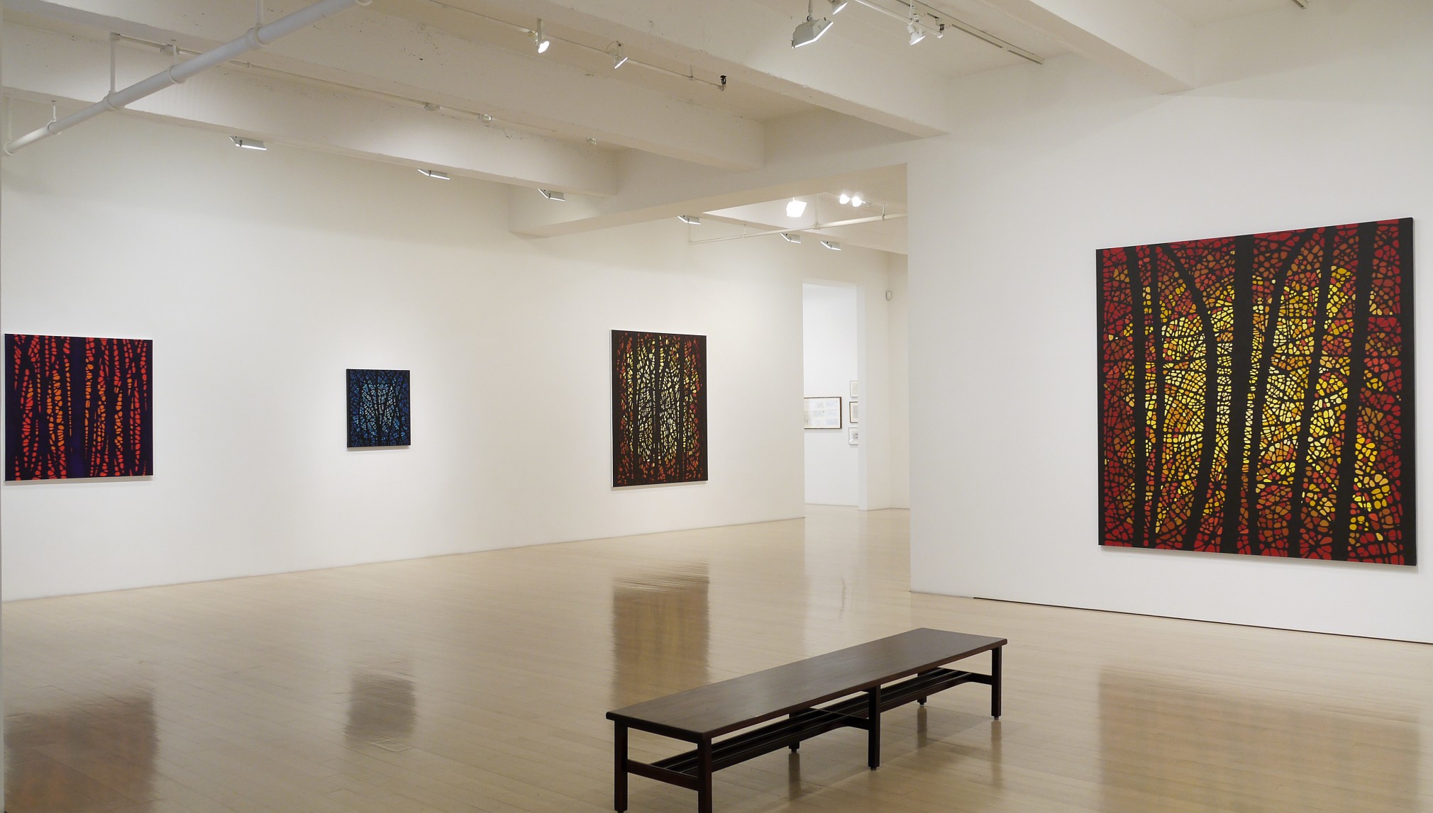 Katia Santiba&ntilde;ez: Lumens Anima