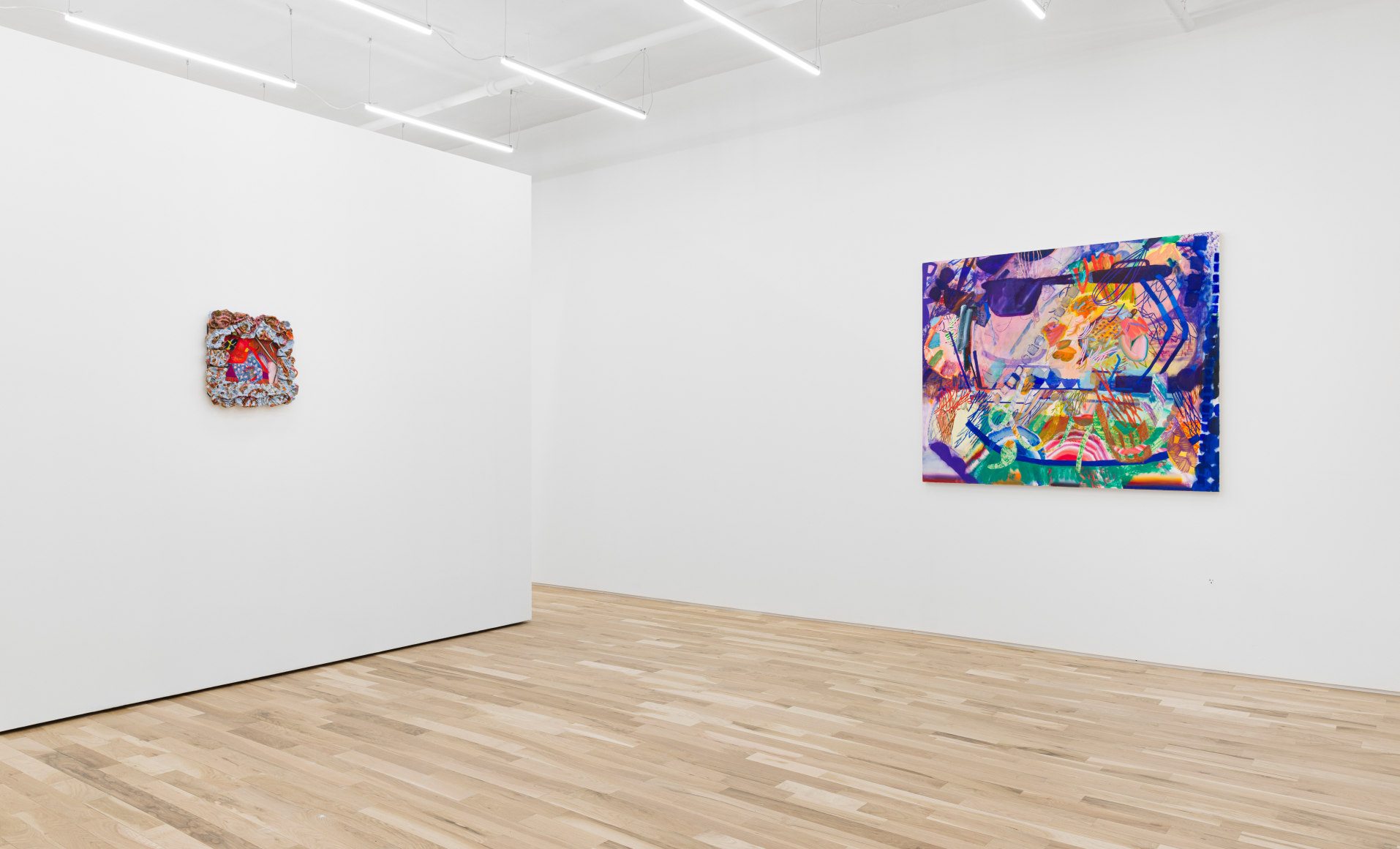 Carolyn Case Wild Domestic Installation View