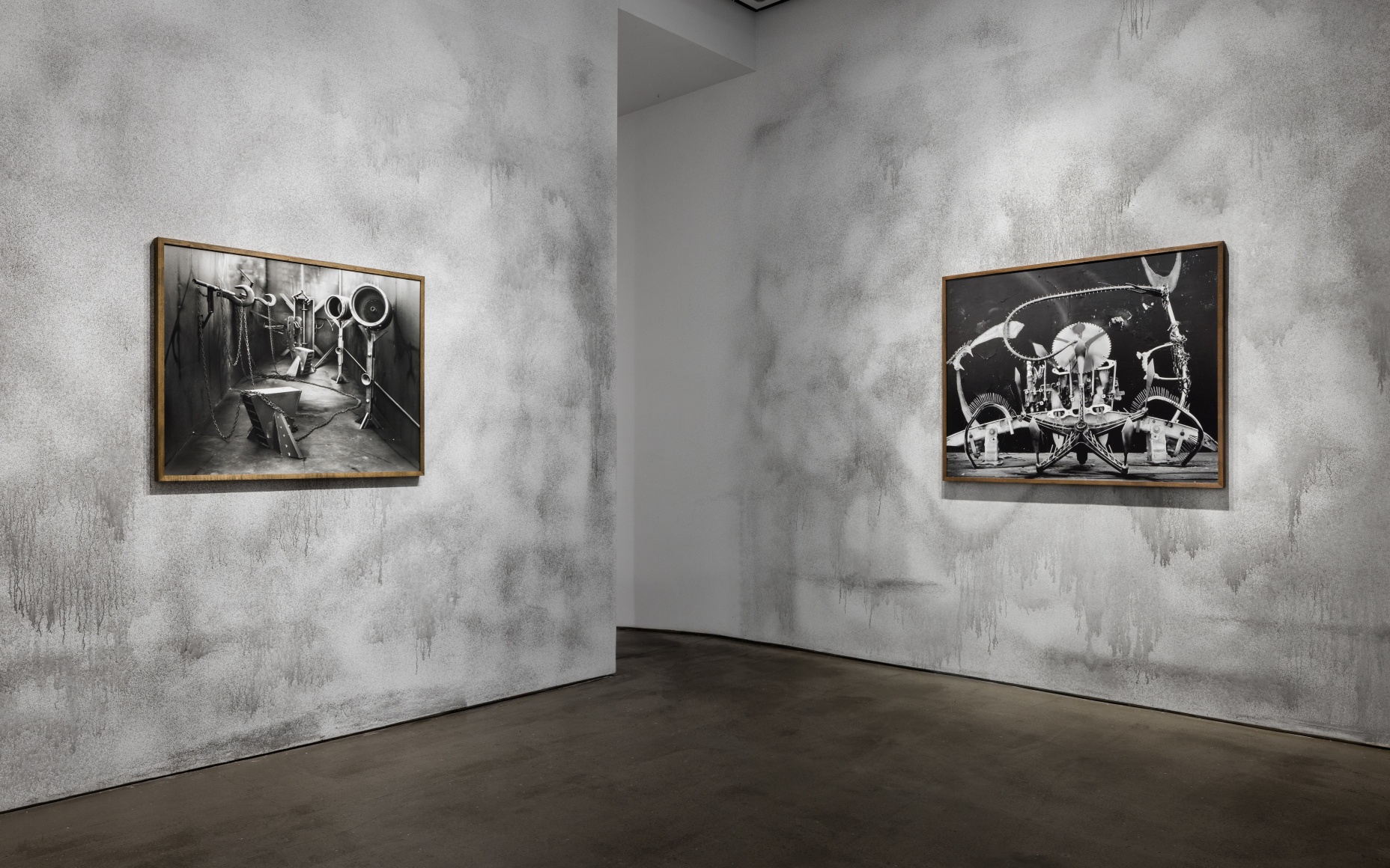 Rodrigo Valenzuela installation view