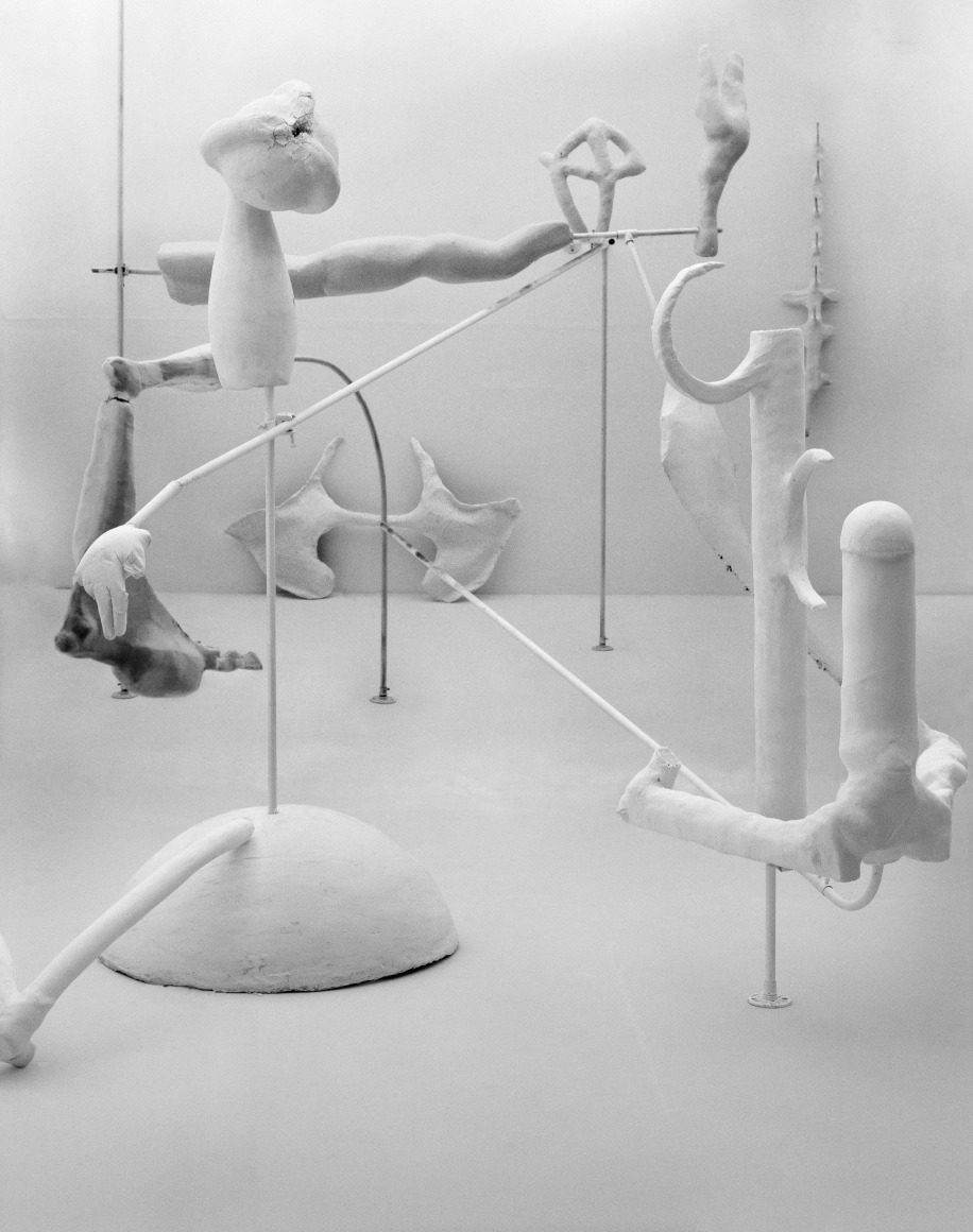 Photograph by Rodrigo Valenzuela