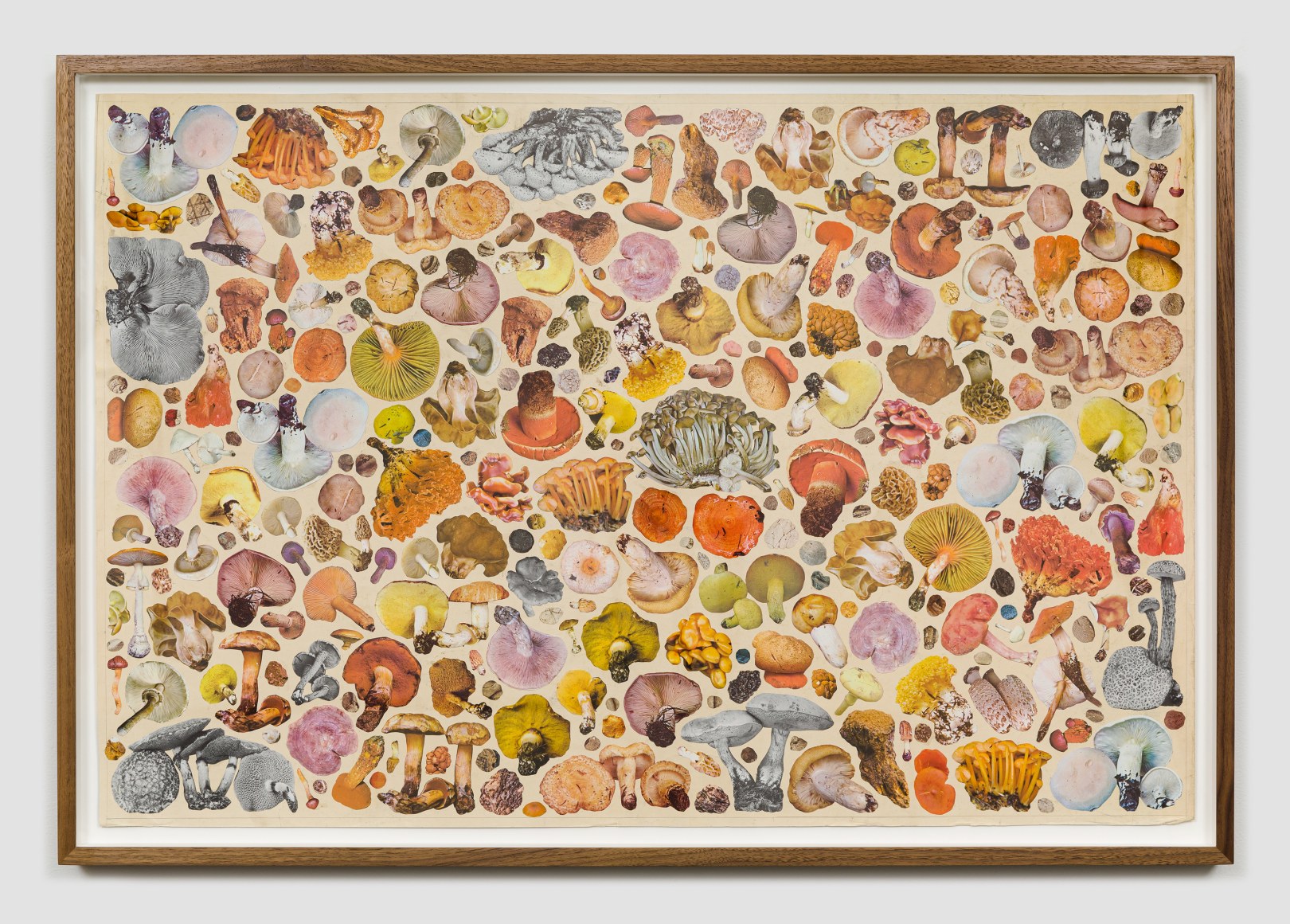 Work on paper by Matthew Craven